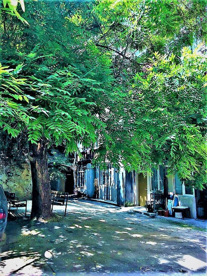 Very Center Of The Old City-stylish *